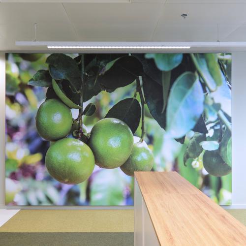 Aménagement intérieur