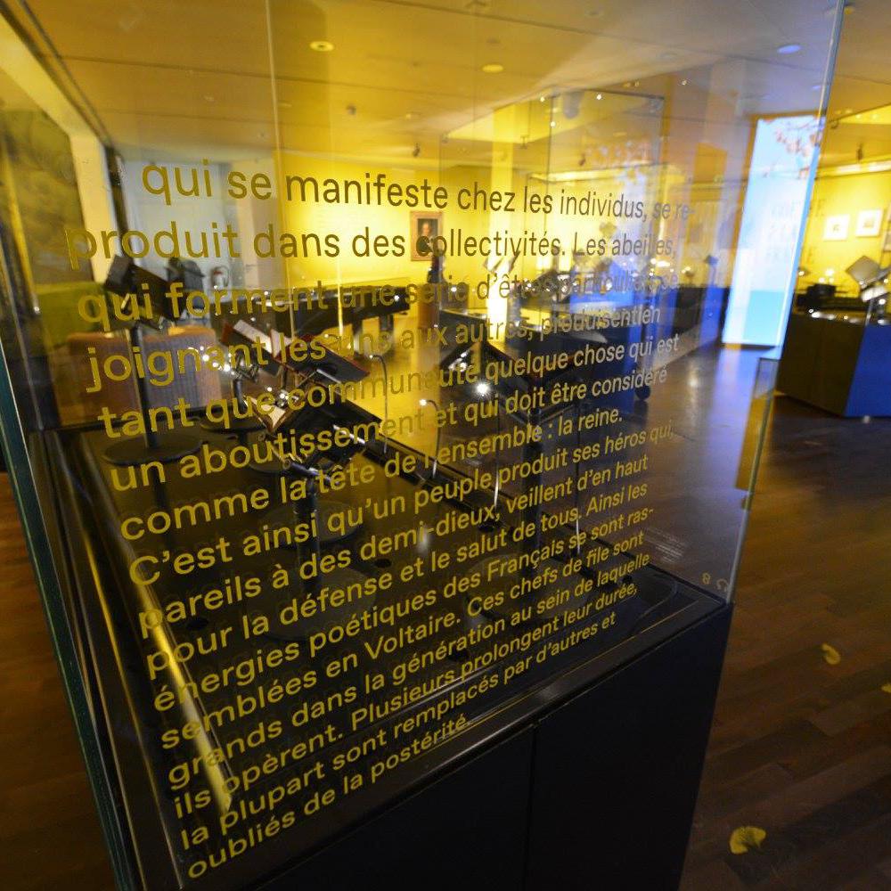 Décoration vitrage intérieur